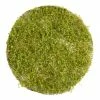World Market Round Faux Boxwood Table Decor Mat