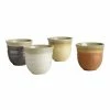 World Market Fuji Rimmed Ceramic Teacup Set Of 4