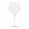 World Market Zwiesel Pure Tritan Crystal Light Red Wine Glass