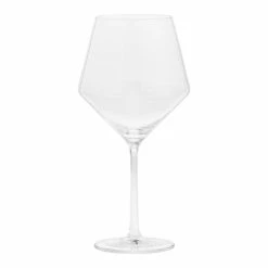 World Market Zwiesel Pure Tritan Crystal Light Red Wine Glass