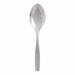 World Market Luna Serving Spoon